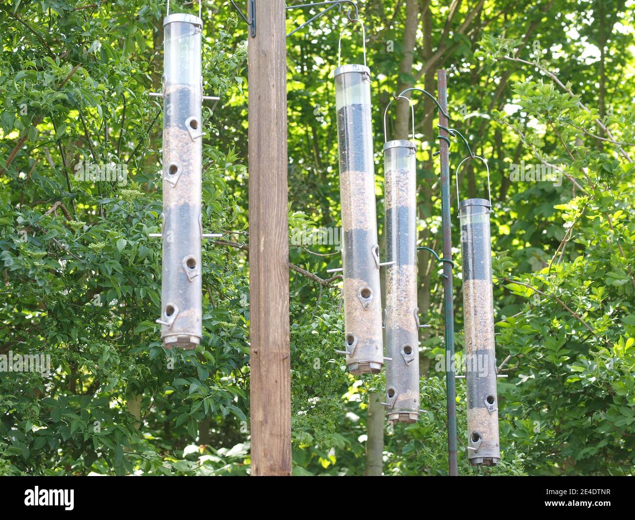 Four hanging bird feeders in a British garden. Stock Photo