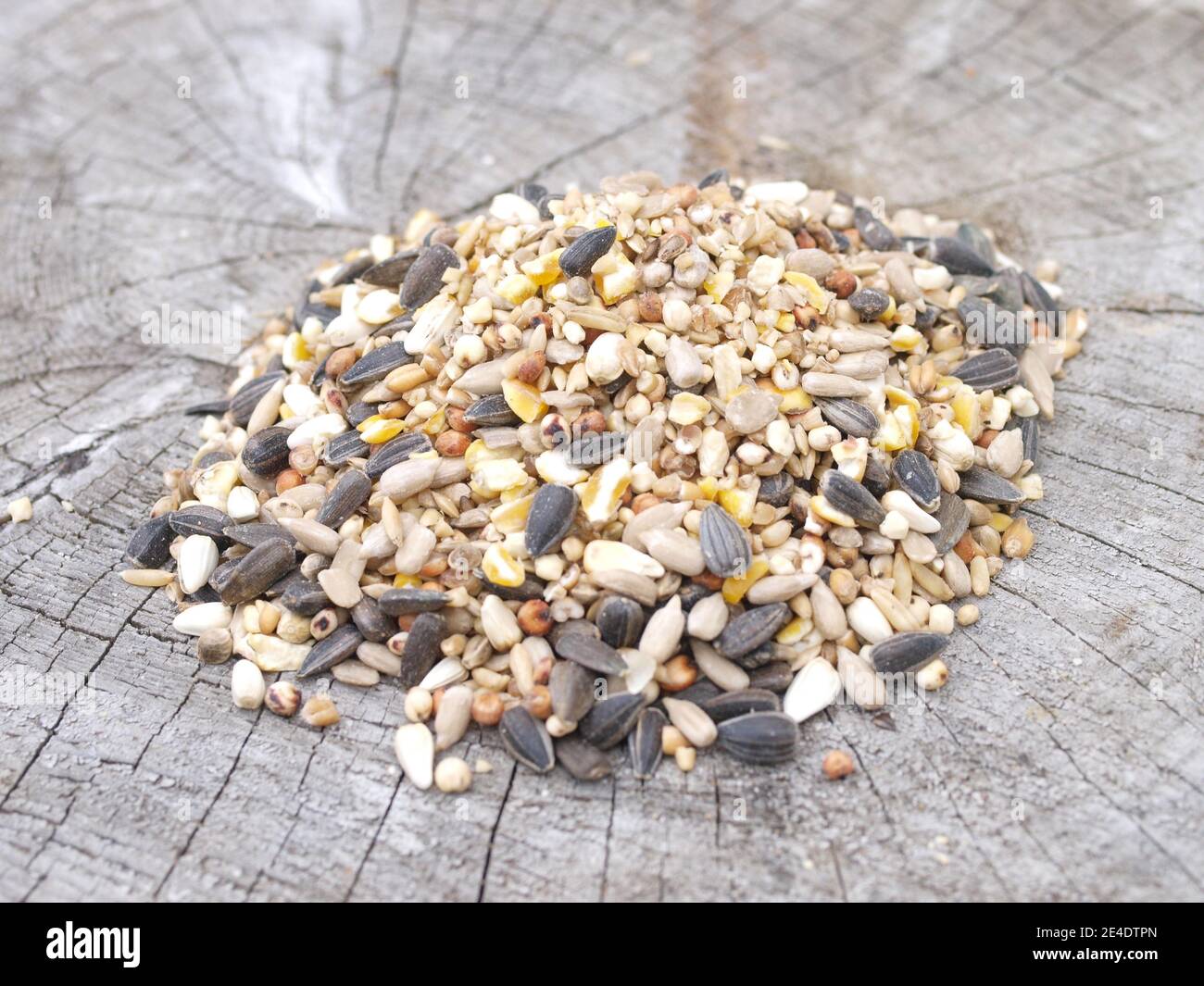 Mixed bird feed suitable for bird feeders for British birds Stock Photo