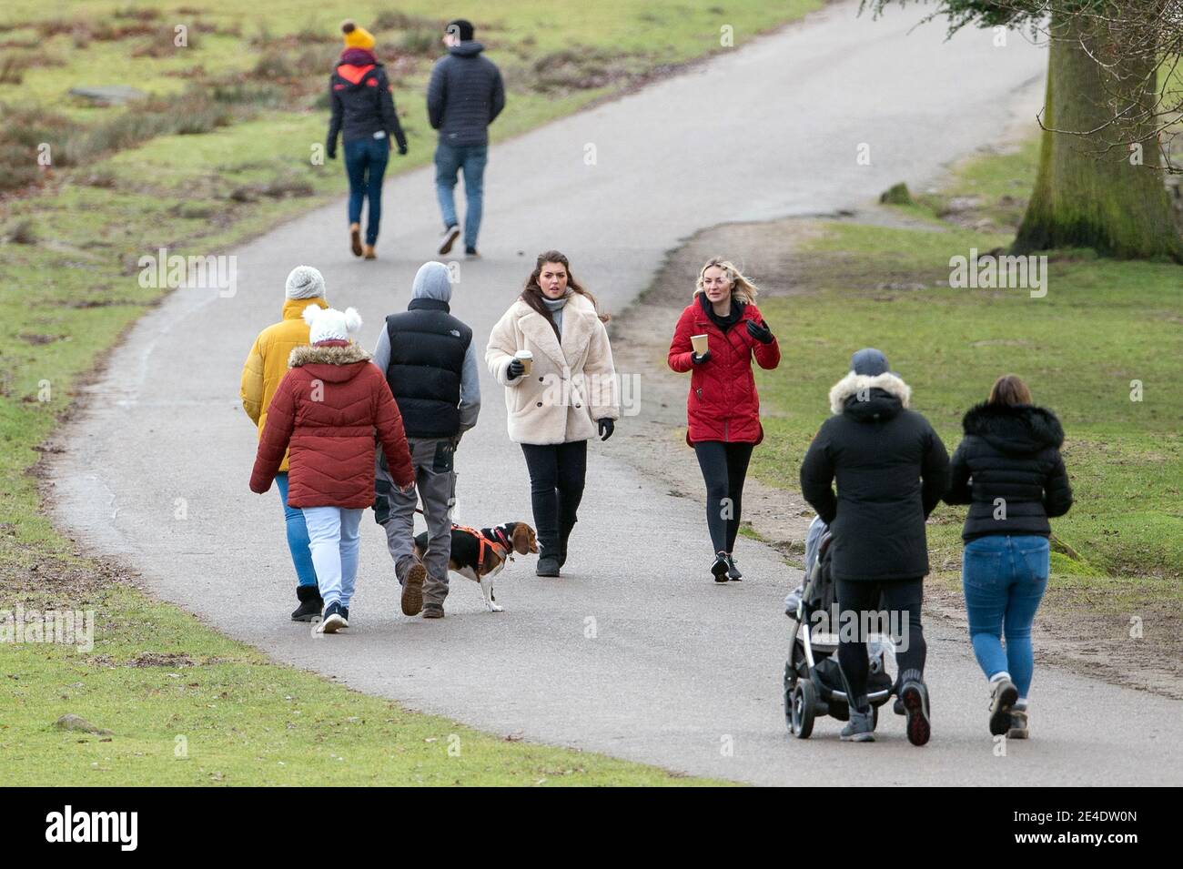 People enjoy a walk at Bradgate Park in Leicestershire during England's third national lockdown to curb the spread of coronavirus. Picture date: Saturday January 23, 2021. Stock Photo