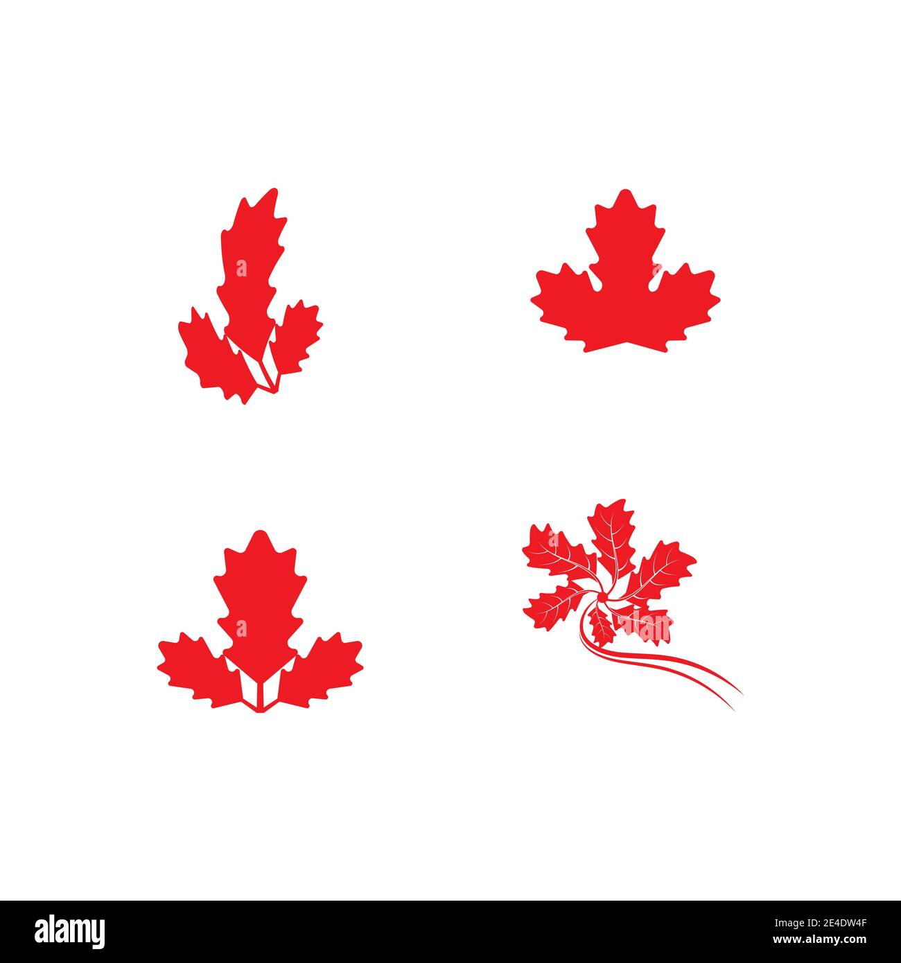 Set Maple leaf vector illustration design template Stock Vector Image ...