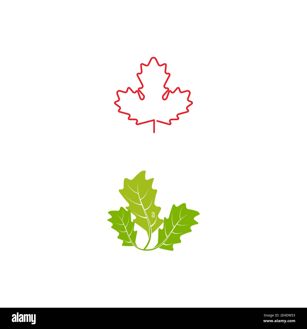Maple leaf vector illustration design template Stock Vector Image & Art ...