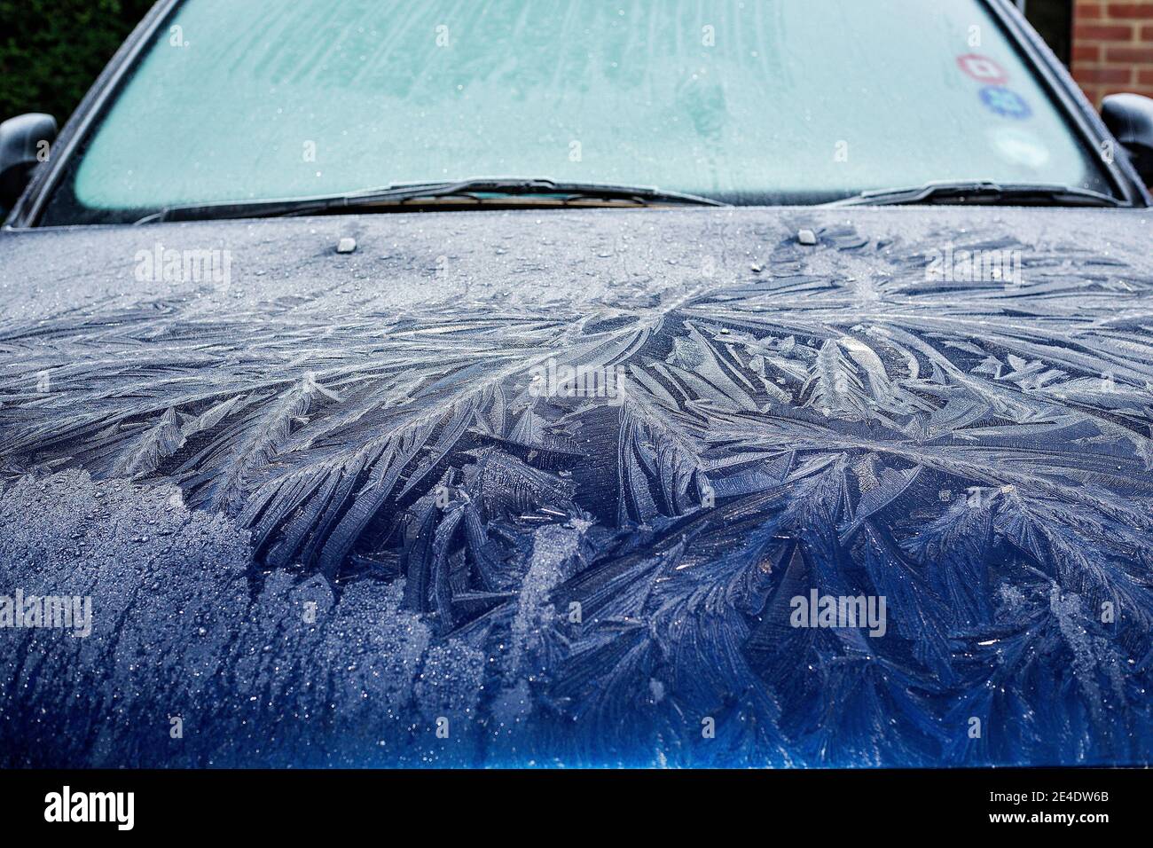 A thick, patterned, frost on the windscreen and bonnet (hood) of a blue Ford Mondeo car. Stock Photo