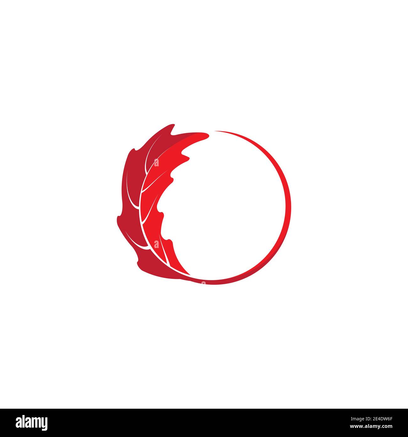Maple leaf vector hi-res stock photography and images - Alamy