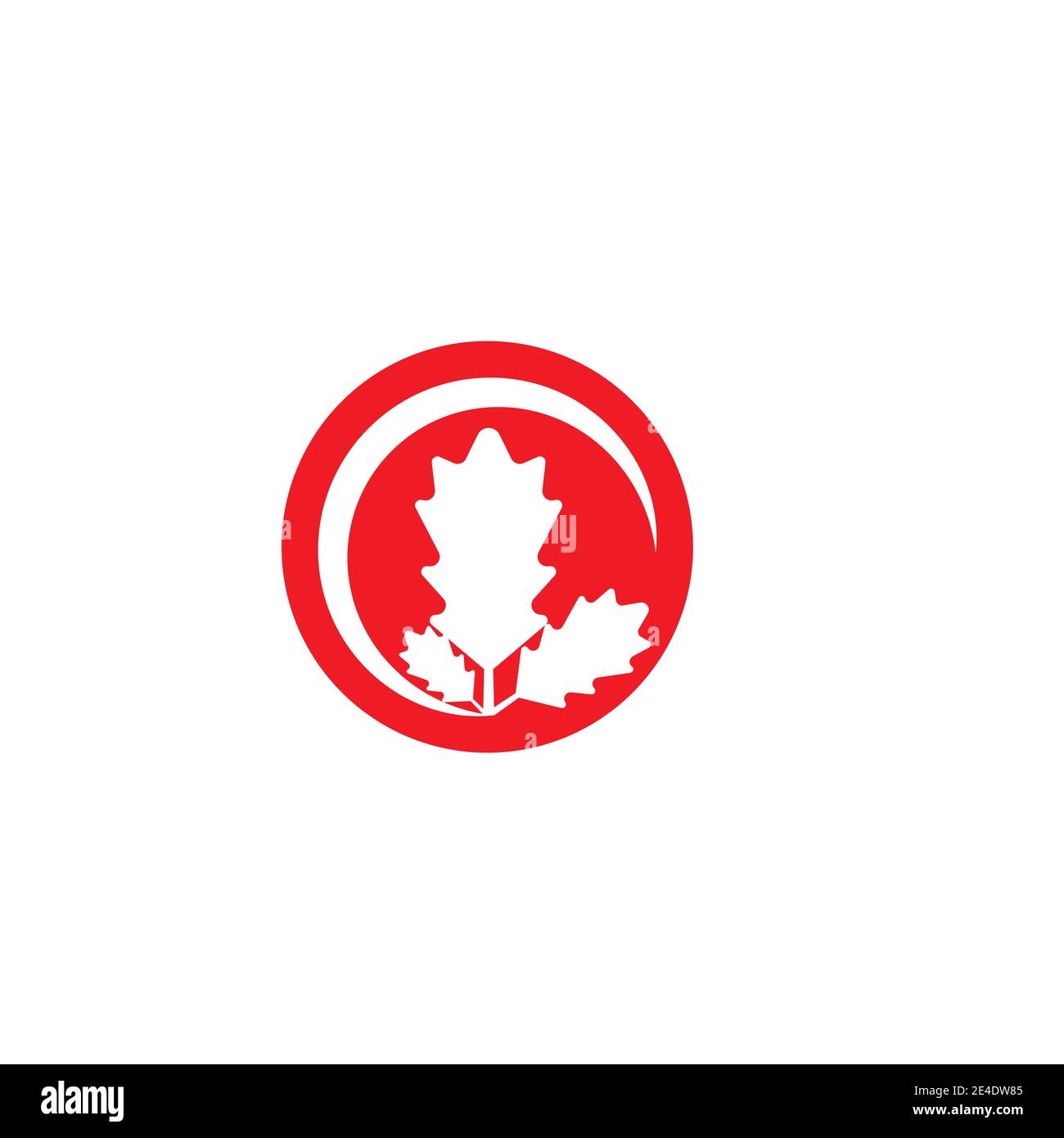 Maple leaf vector illustration design template Stock Vector Image & Art ...