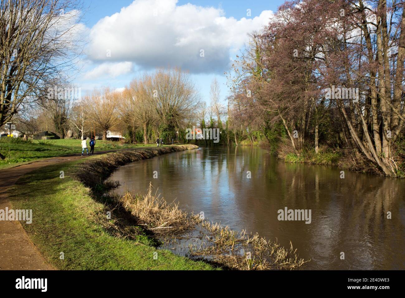 River Wey, Guildford, Surrey Stock Photo Alamy