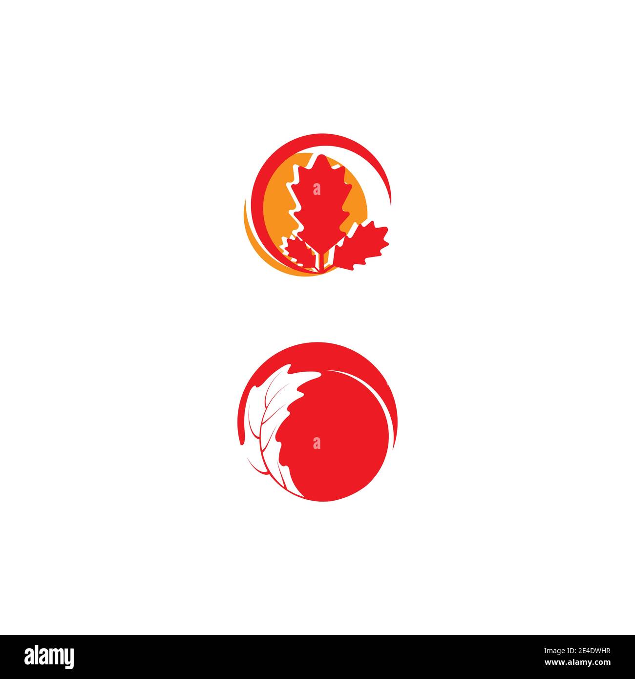 Maple leaf vector illustration design template Stock Vector Image & Art ...