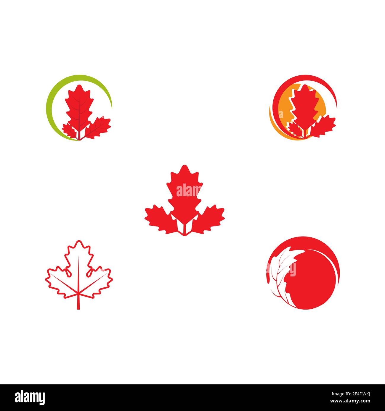 Set Maple leaf vector illustration design template Stock Vector Image ...