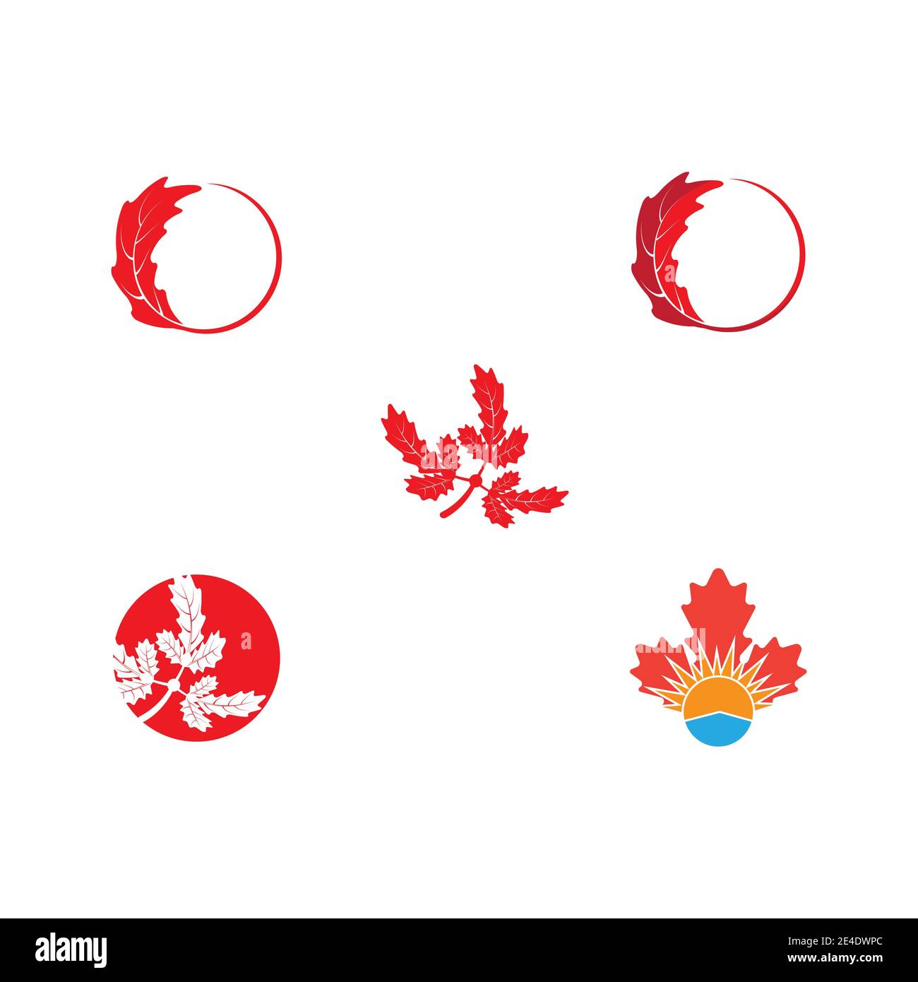 Set Maple leaf vector illustration design template Stock Vector Image ...