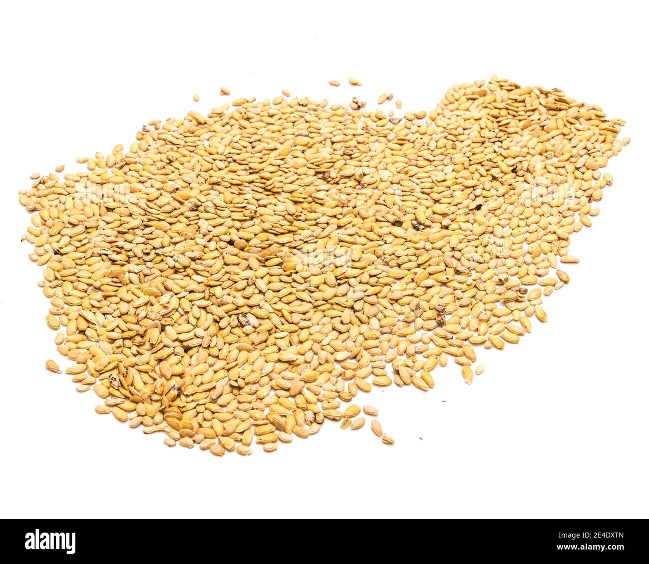 Many of winter melon seeds spreading isolated with copy space on white background. Heirloom wax gourd or Benincasa hispida, ash gourd seeds ready for Stock Photo