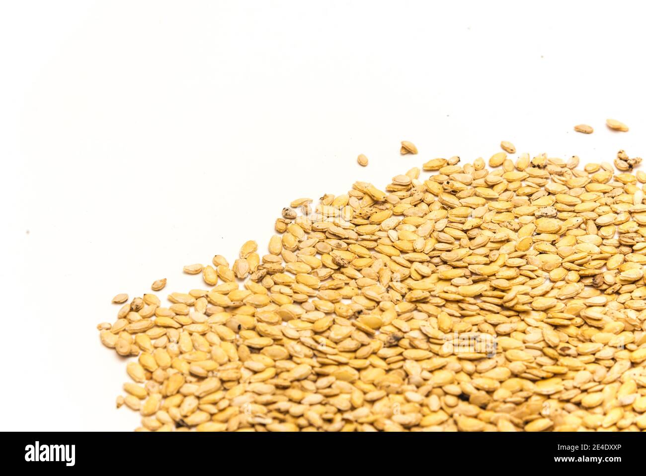 Many of winter melon seeds spreading isolated with copy space on white background. Heirloom wax gourd or Benincasa hispida, ash gourd seeds ready for Stock Photo