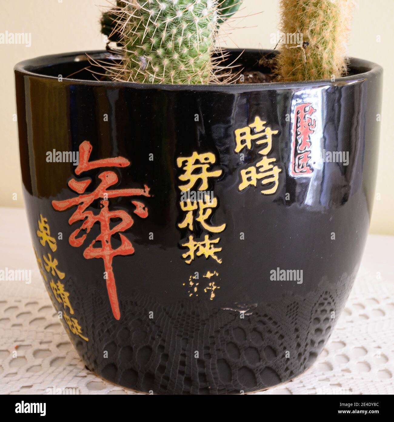 Ceramic vase with Chinese ideograms used for the cultivation of succulents. Stock Photo