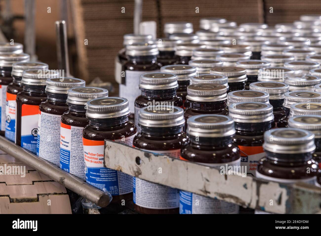 Glue bottles being filled and packaged, Philadelphia, USA Stock Photo