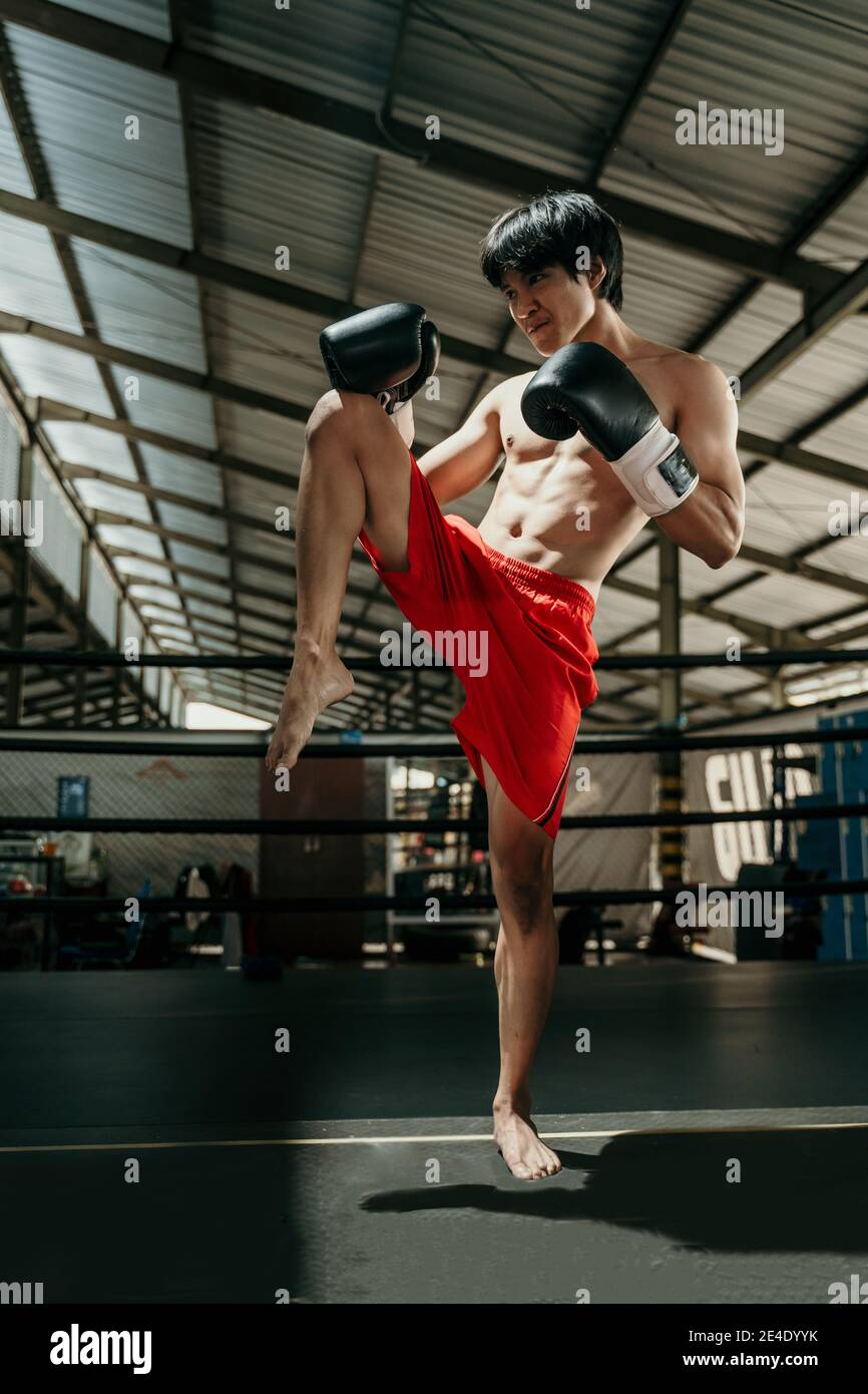 Kickboxer in the ring do stretches before the fight makes swing ...
