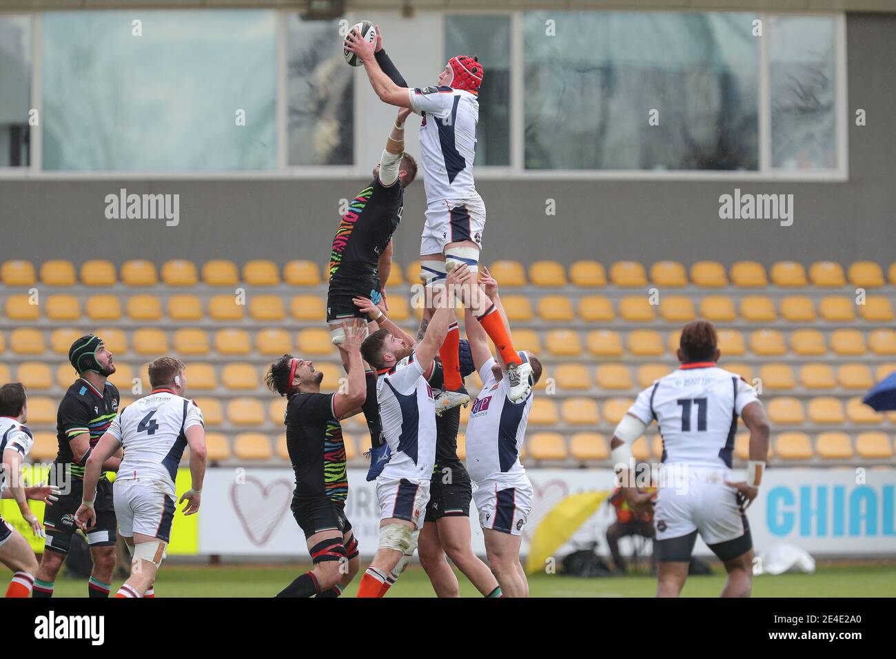 Grant stewart rugby hi-res stock photography and images - Alamy