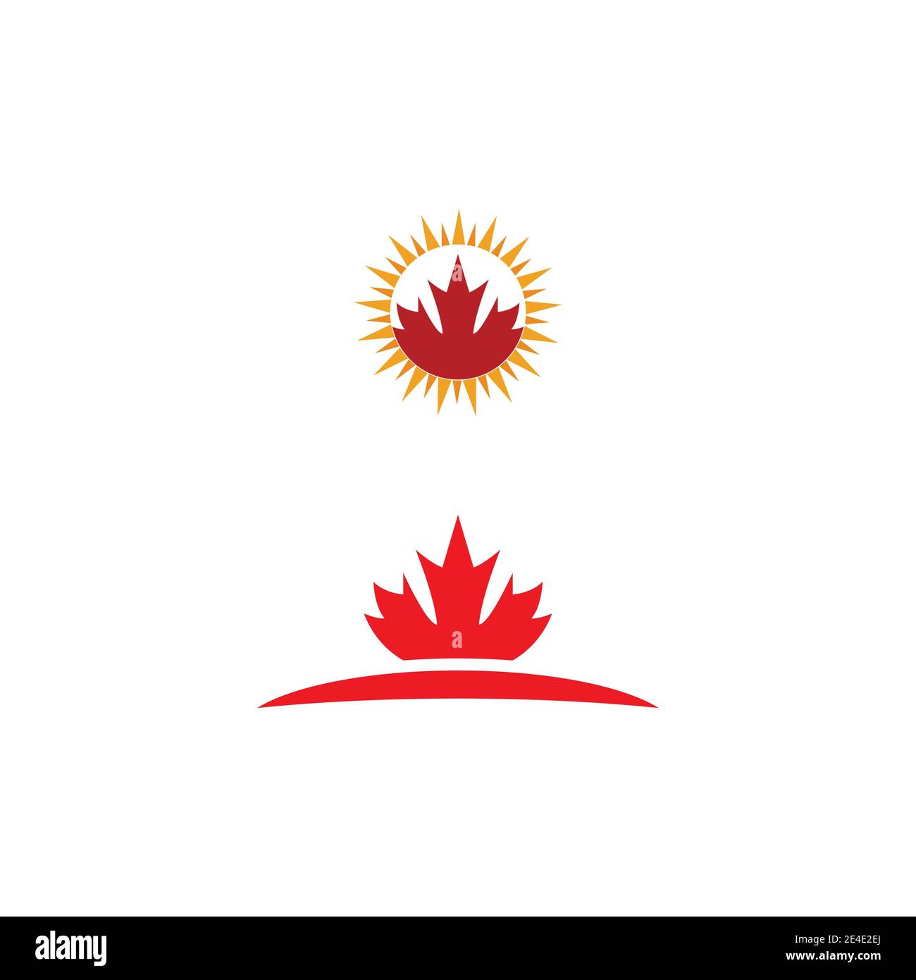 Maple leaf vector illustration design template Stock Vector