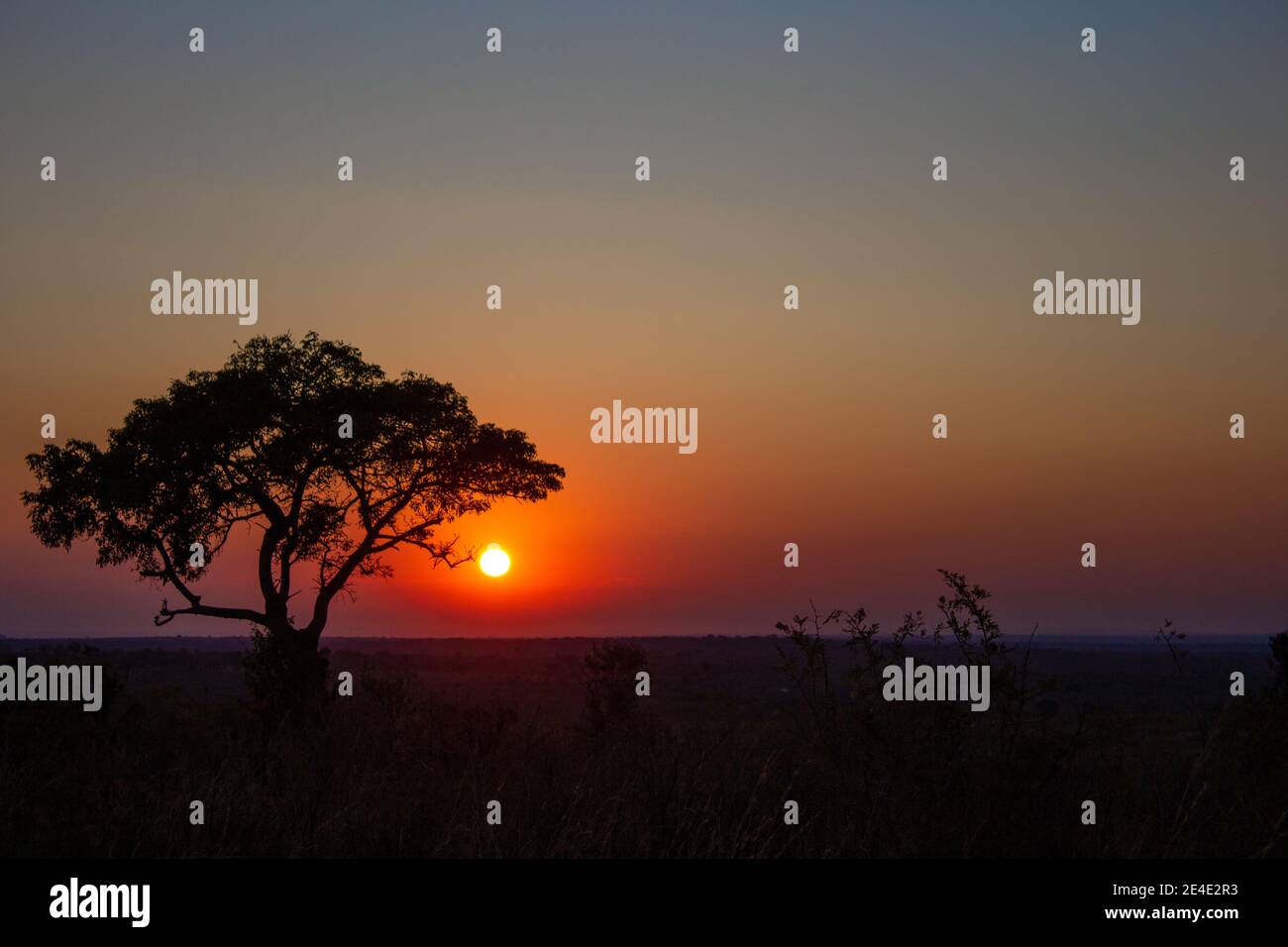 African savannah sunset landscape hi-res stock photography and images ...