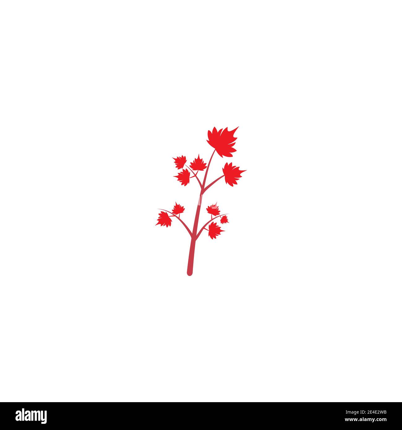 Maple leaf vector illustration design template Stock Vector Image & Art ...