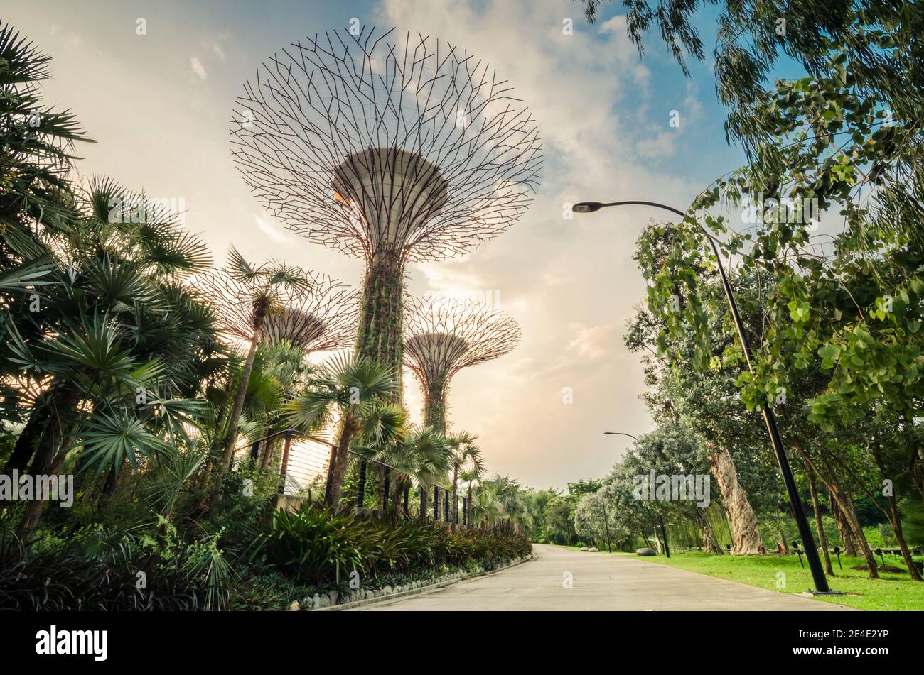 Super trees at Gardens by the Bay. The tree-like structures are fitted with environmental technologies that mimic the ecological function of trees. Stock Photo