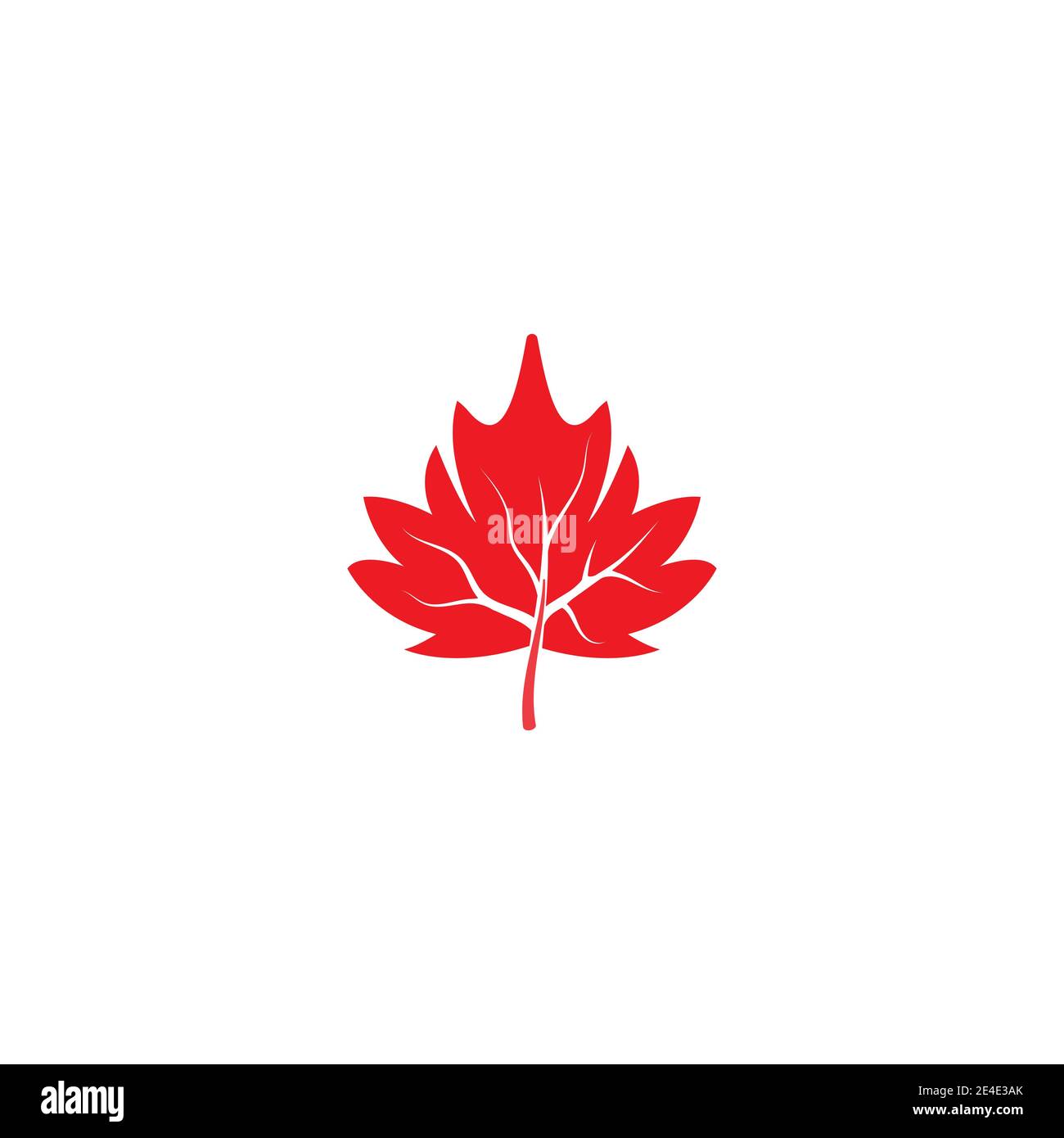 Maple leaf vector illustration design template Stock Vector