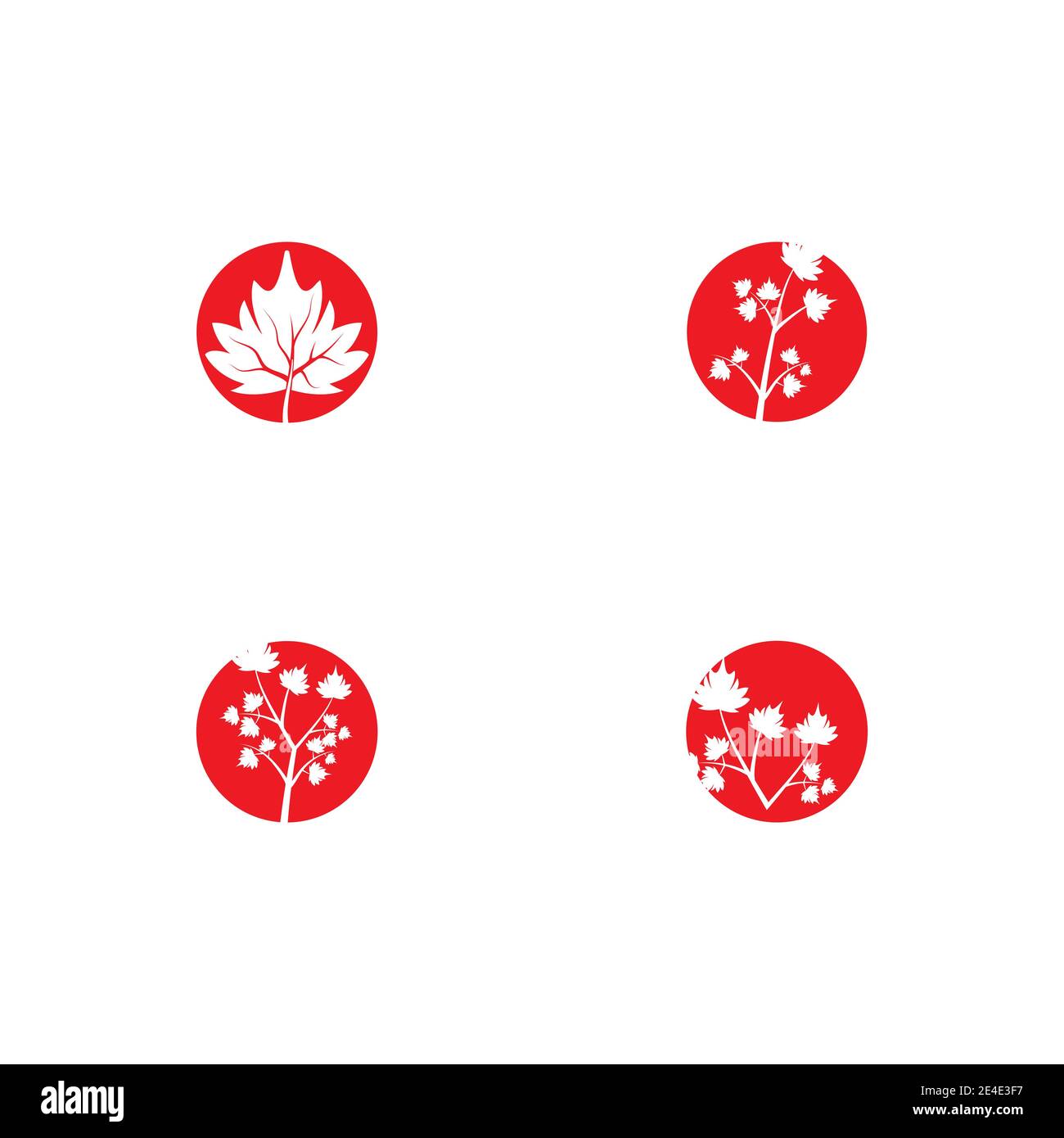 Set Maple leaf vector illustration design template Stock Vector Image ...