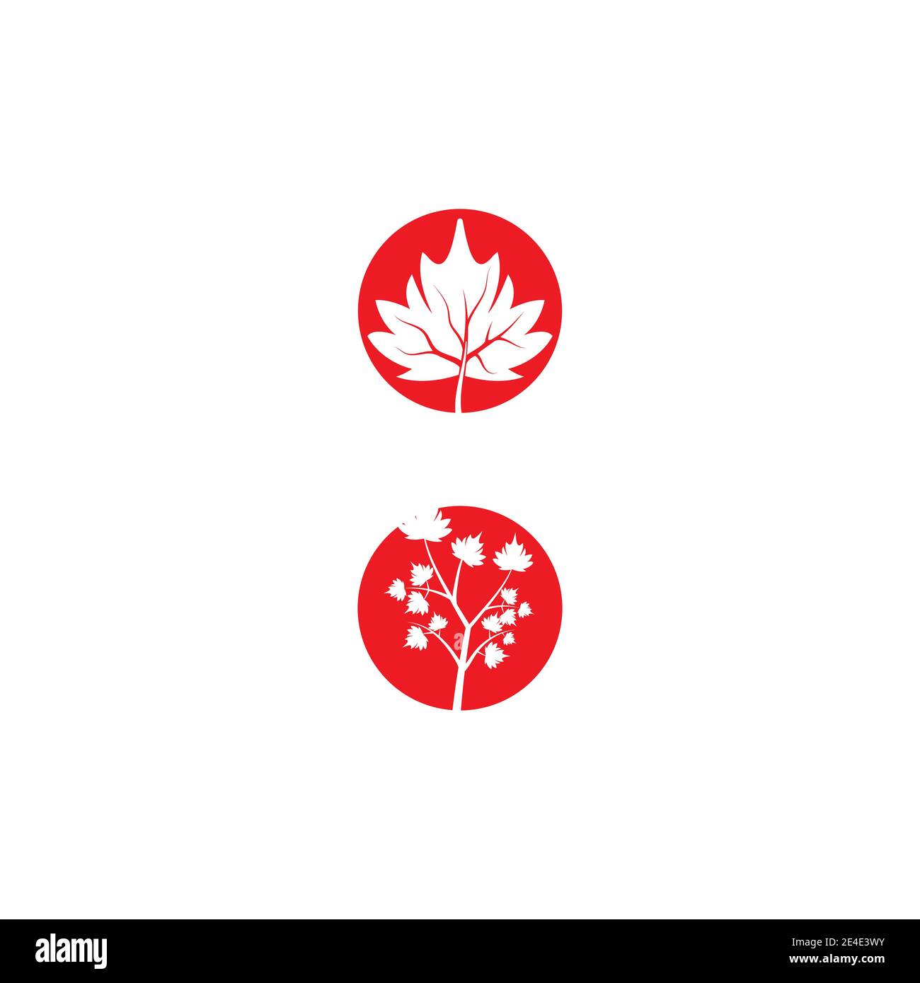 Maple leaf vector illustration design template Stock Vector
