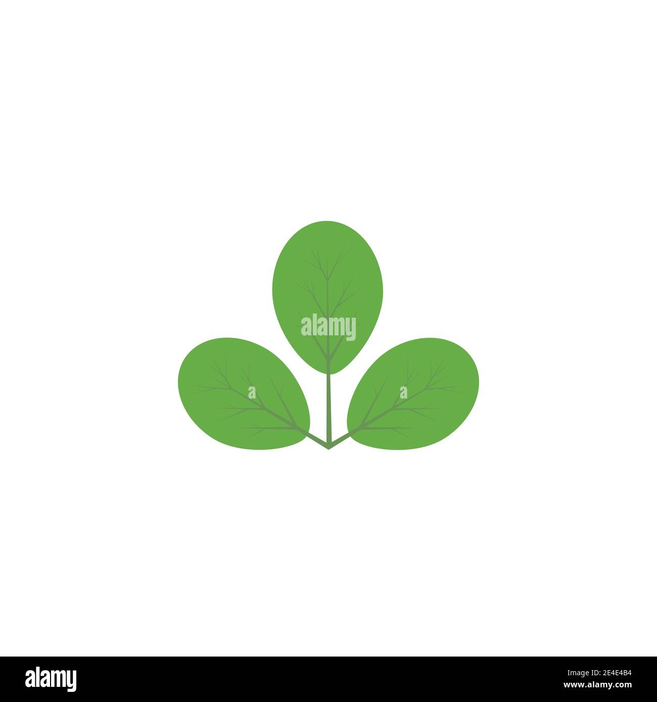 Moringa leaf Logo Template vector symbol nature Stock Vector