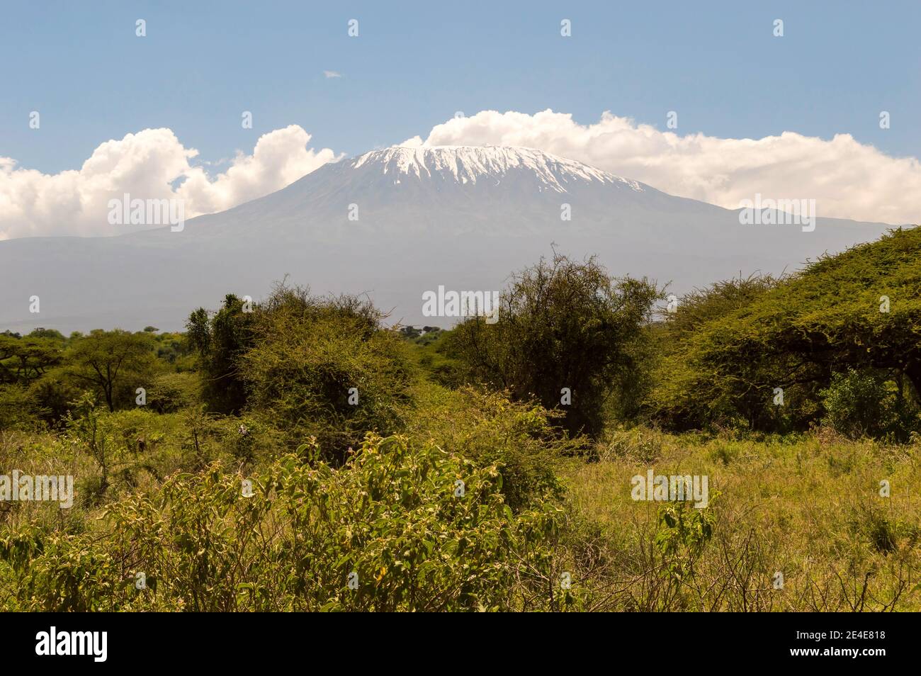 Snow capped Kenya's Kilimanjaro mountain under cloudy blue sky captured on Kenya Africa safari. Stock Photo