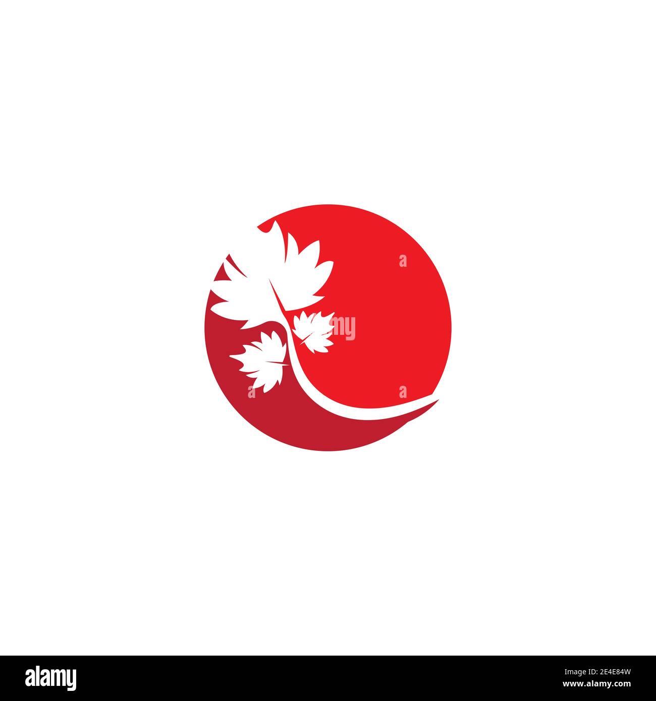 Maple leaf vector illustration design template Stock Vector Image & Art ...