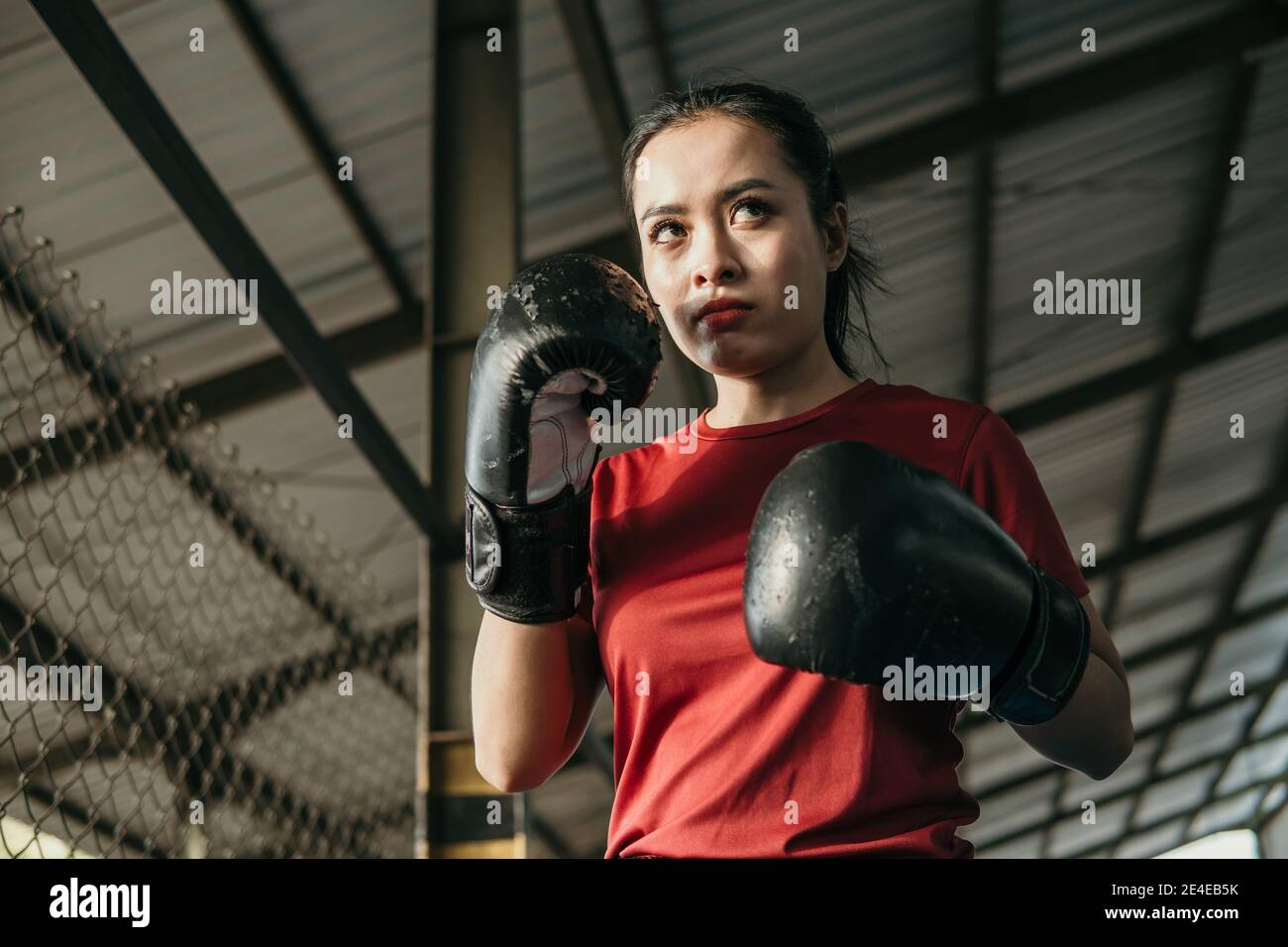 Mma Gloves High Resolution Stock Photography and Images - Alamy