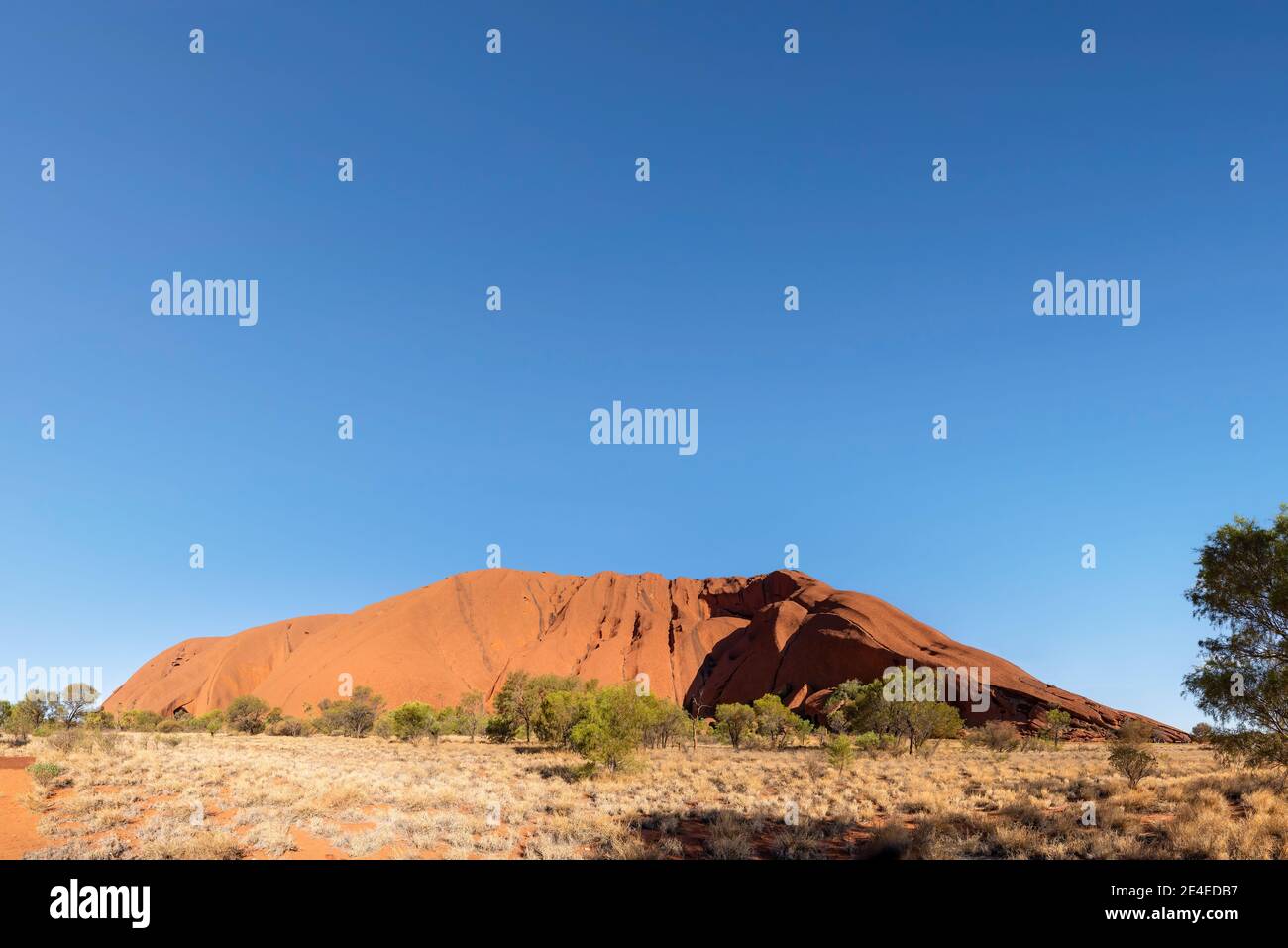 Uluru, Northern Territory, Australia - January 10, 2021: Uluru or Ayers Rock is a huge sandstone monolith within Uluru-Kata Tjuta National Park Stock Photo