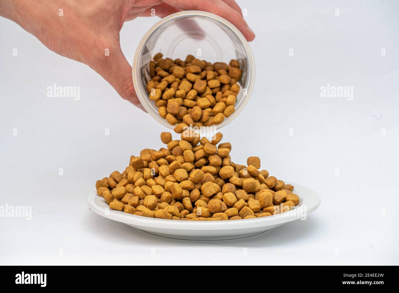 Closeup shot of a person pouring out animal food onto a plate Stock Photo