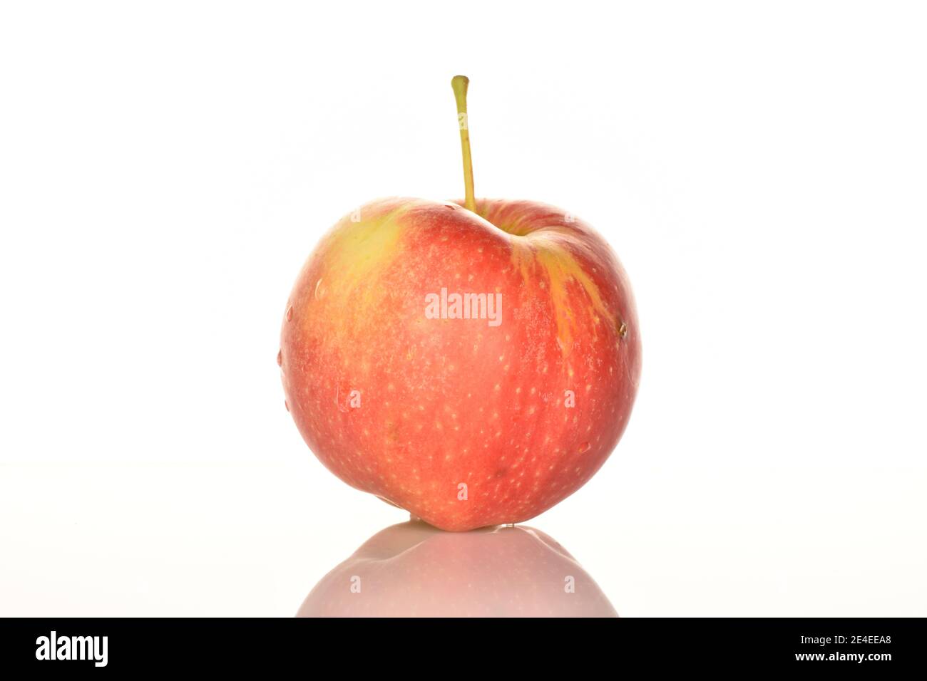https://c8.alamy.com/comp/2E4EEA8/one-whole-red-ripe-juicy-apple-on-a-white-background-2E4EEA8.jpg