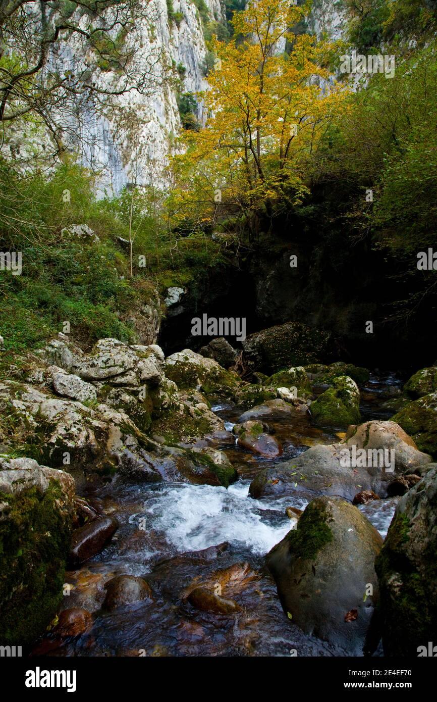 Río Casaño, afluente del Cares,Puente Pompedro, Concejo de Cabrales, Asturias Stock Photo