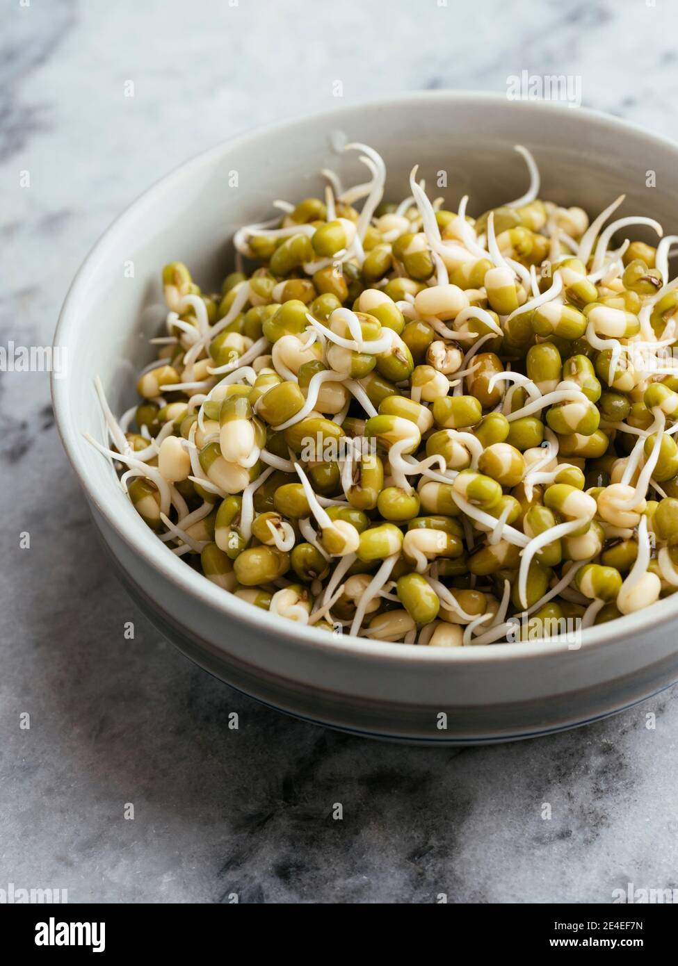 Small bowl with sprouted mung beans. Stock Photo