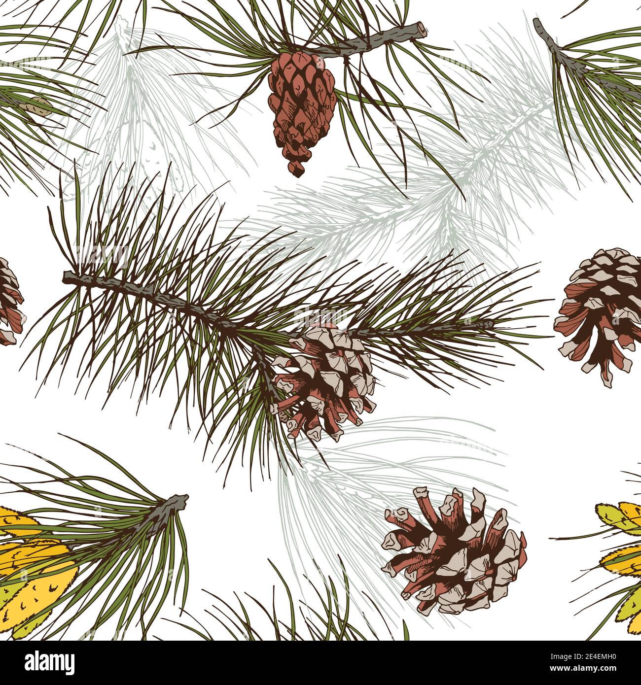 Colored pine fir branches and cones forest wood seamless pattern vector ...