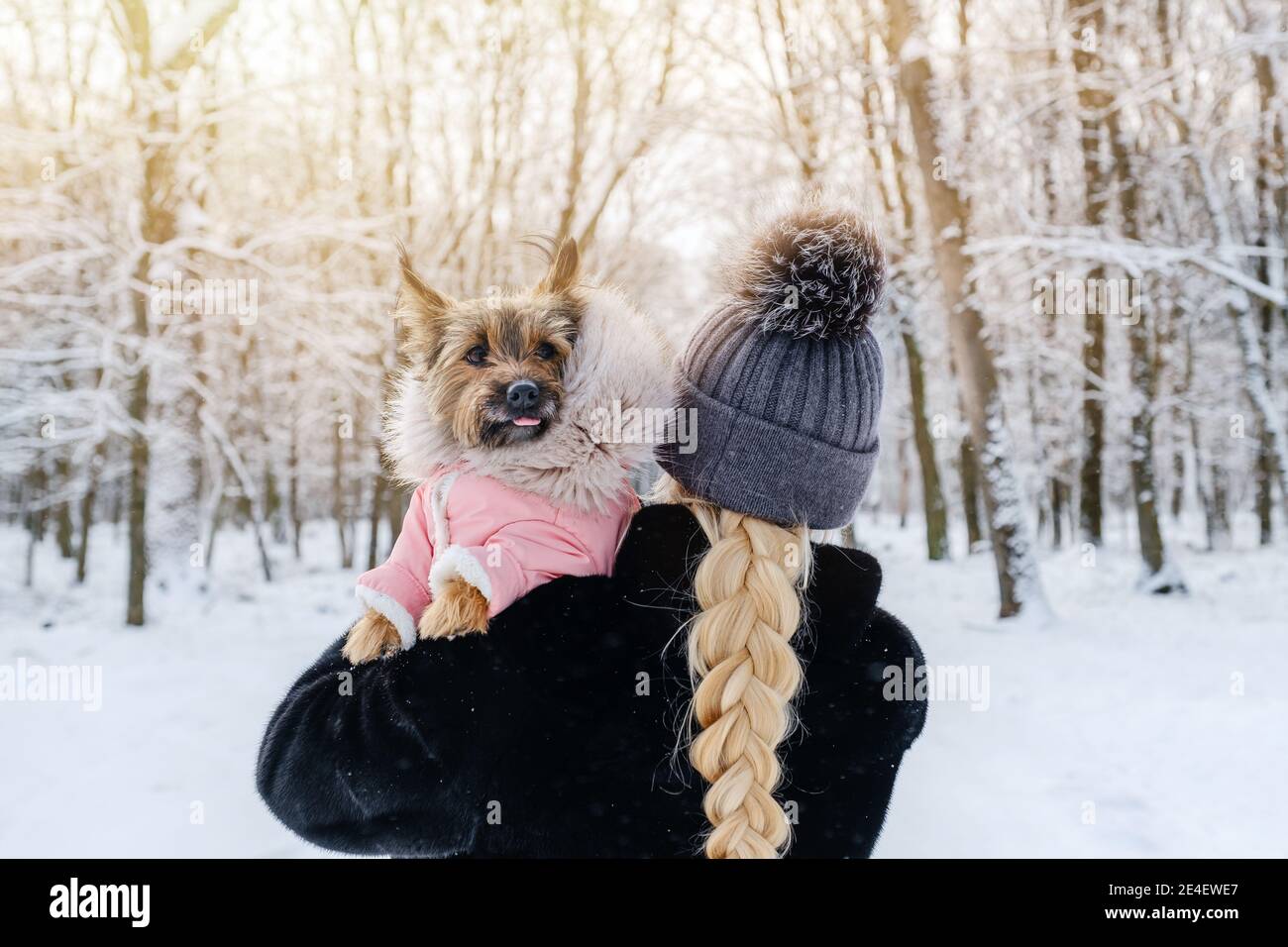Unrecognizable woman with dog walking in winter park Stock Photo