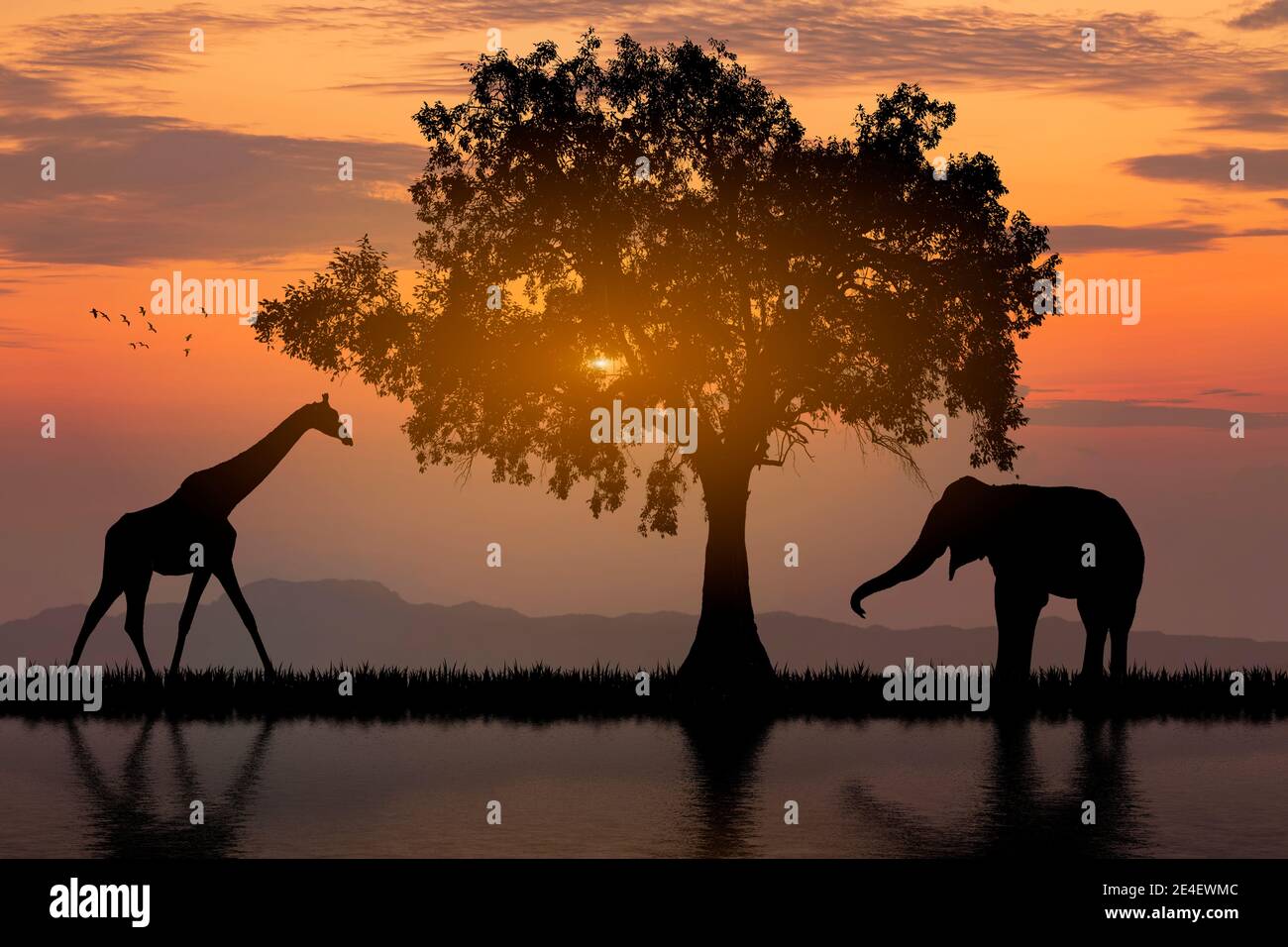 Silhouette African Elephants at sunset or sunrise. Wildlife Nature ...