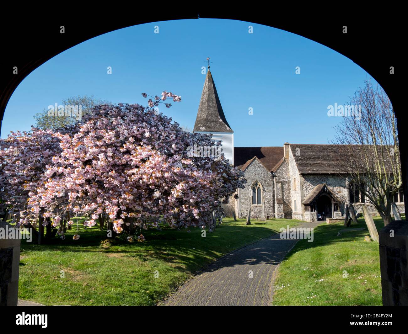 UK, England, Surrey, Great Bookham spring blossom Stock Photo Alamy