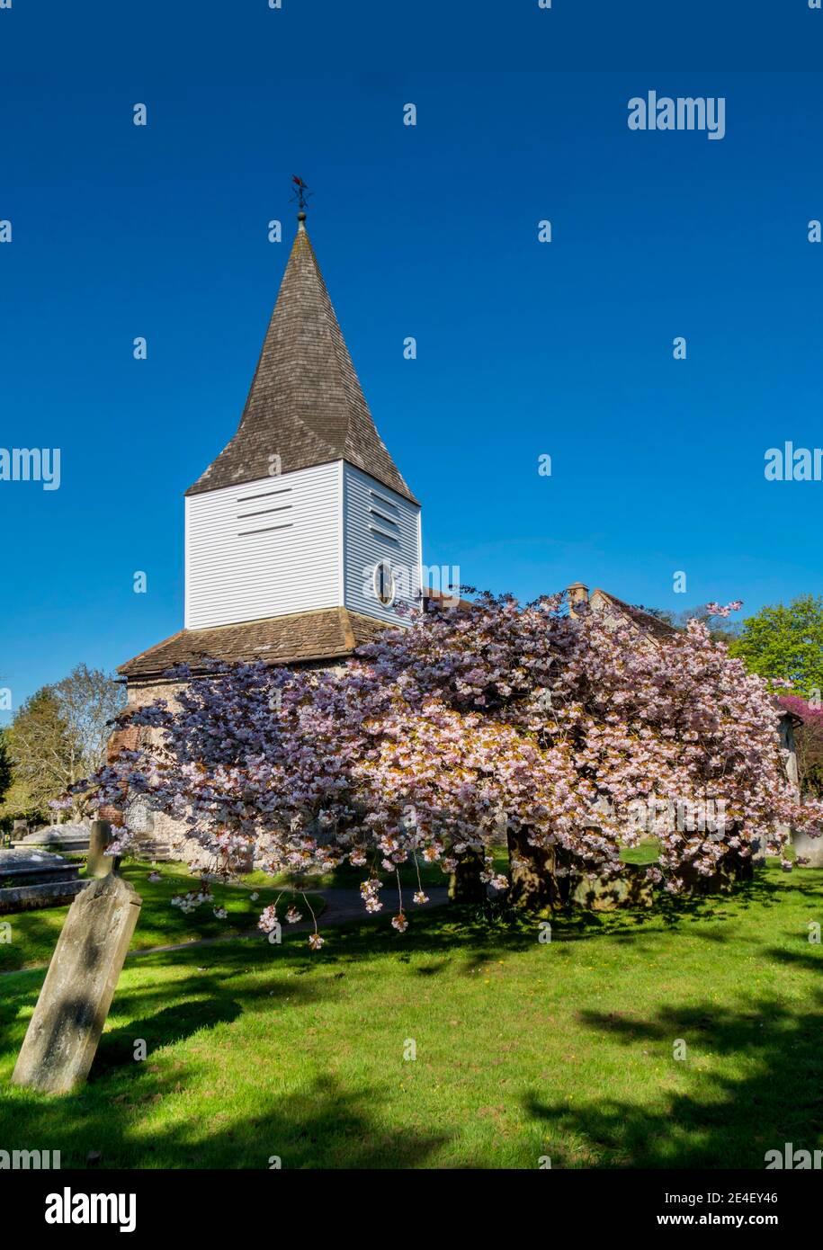 Great bookham hires stock photography and images Alamy