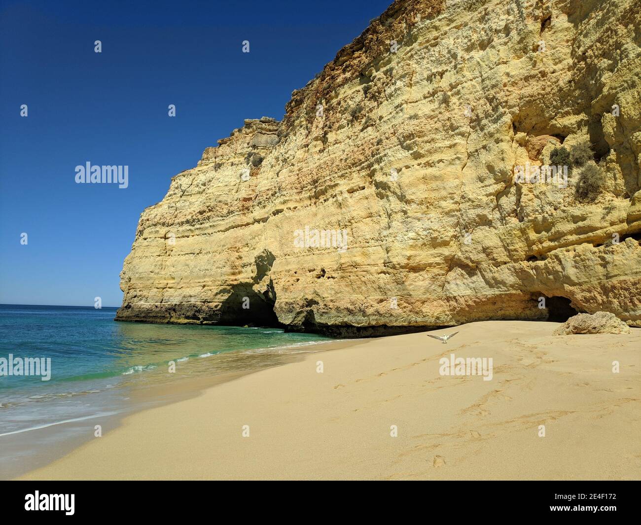 Beautiful view of waves splashing on a sandy beach - perfect for ...