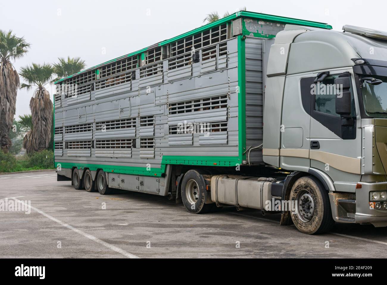 Cage truck for transporting livestock Stock Photo Alamy