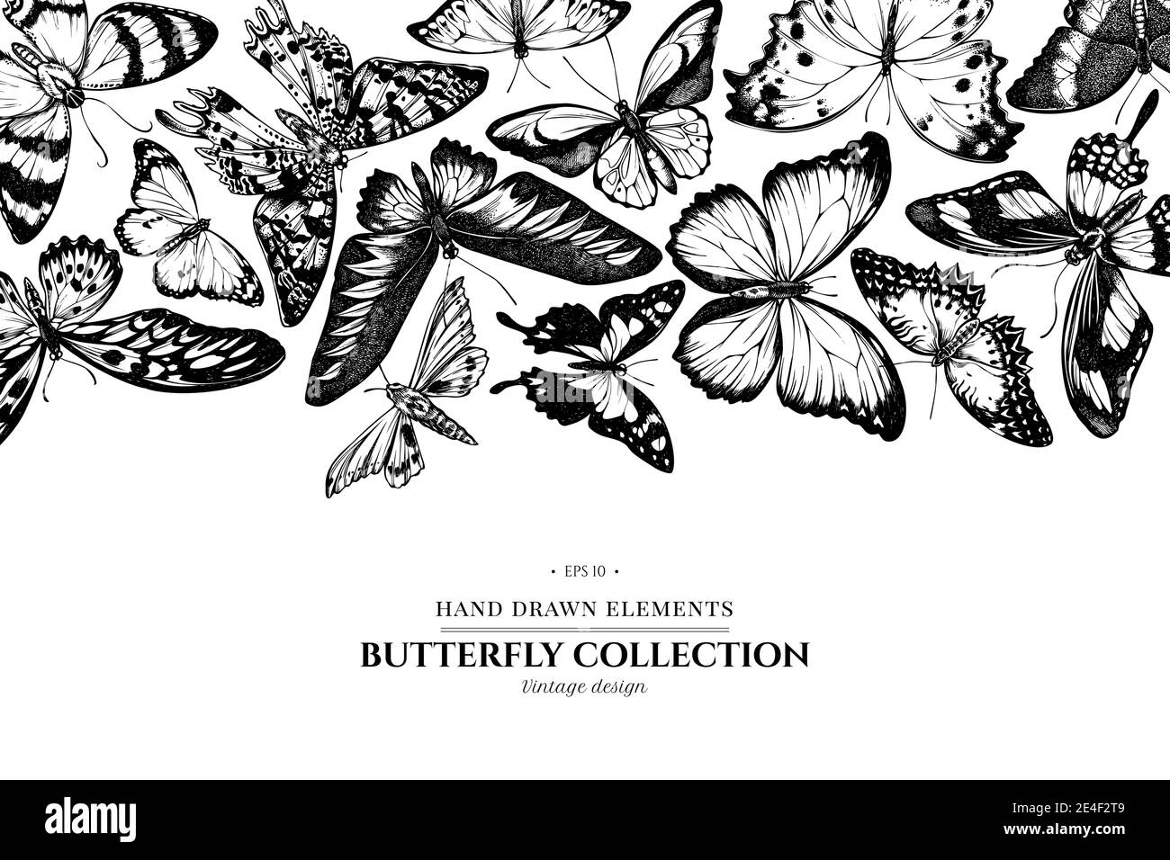 Design with black and white ambulyx moth, madagascan sunset moth, forest mother-of-pearl, great orange-tip, emerald swallowtail, plain tiger, rajah Stock Vector