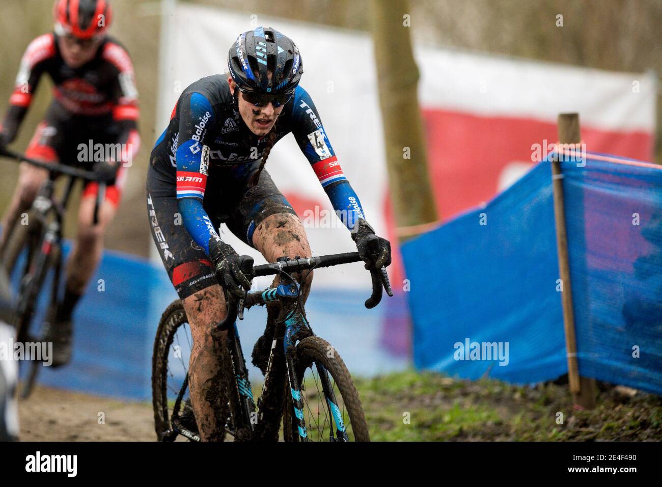 HAMME, BELGIUM - JANUARY 23: Lucinda 