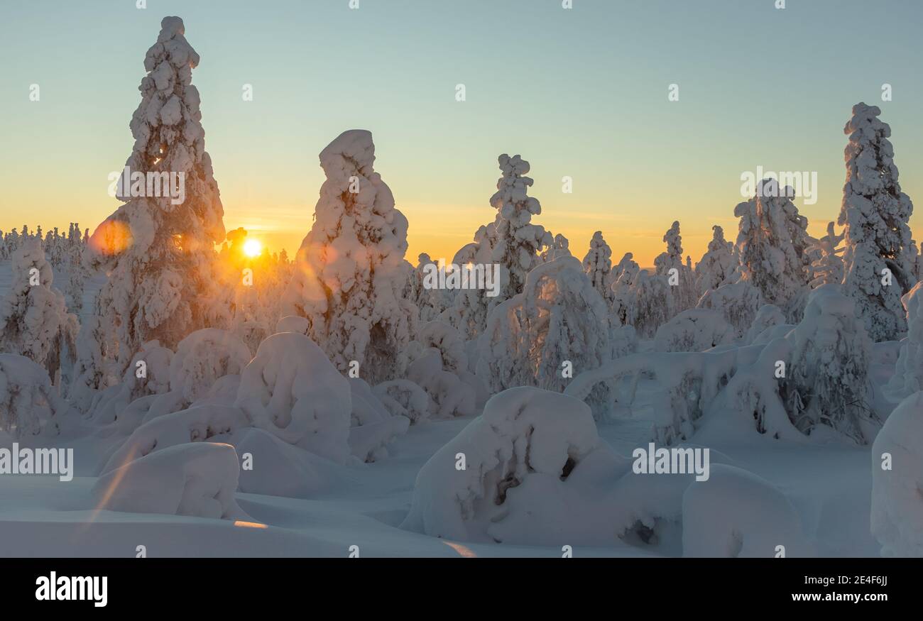 snowy landscape in Finnish Lapland Stock Photo