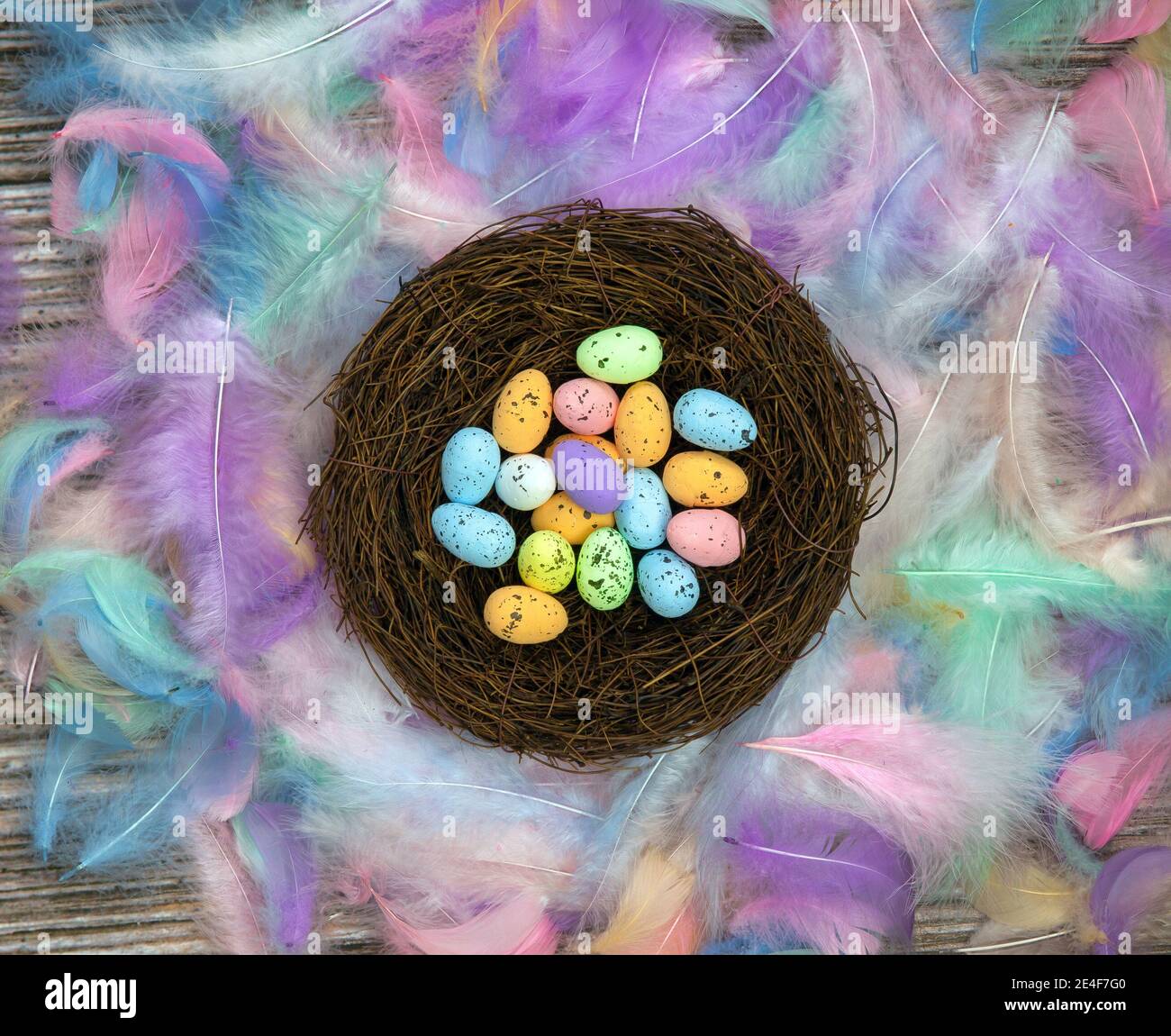 Colorful Easter eggs in bird nest surrounded with pastel colored ...