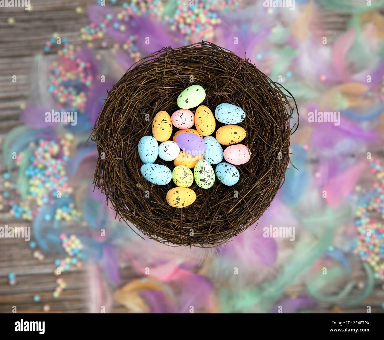Colorful Easter eggs in bird nest surrounded with pastel colored ...
