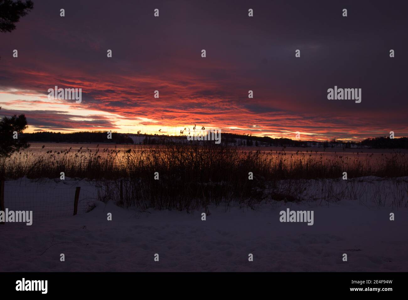 peacful winter evening mood at the lake of pfaeffikon (Pfäffikersee) Stock Photo