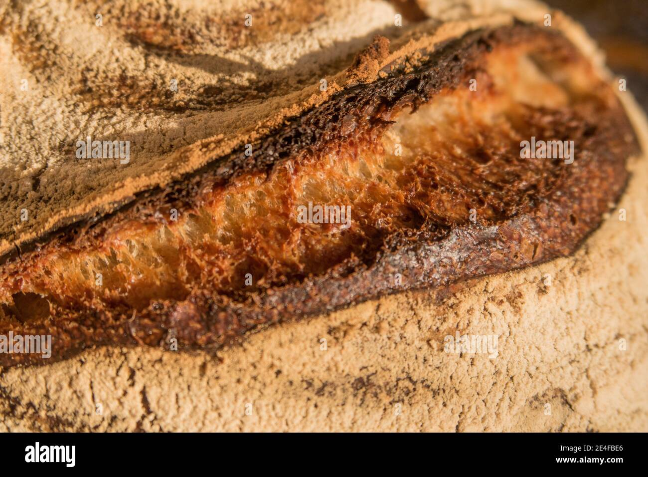 A loaf of sourdough brad Stock Photo