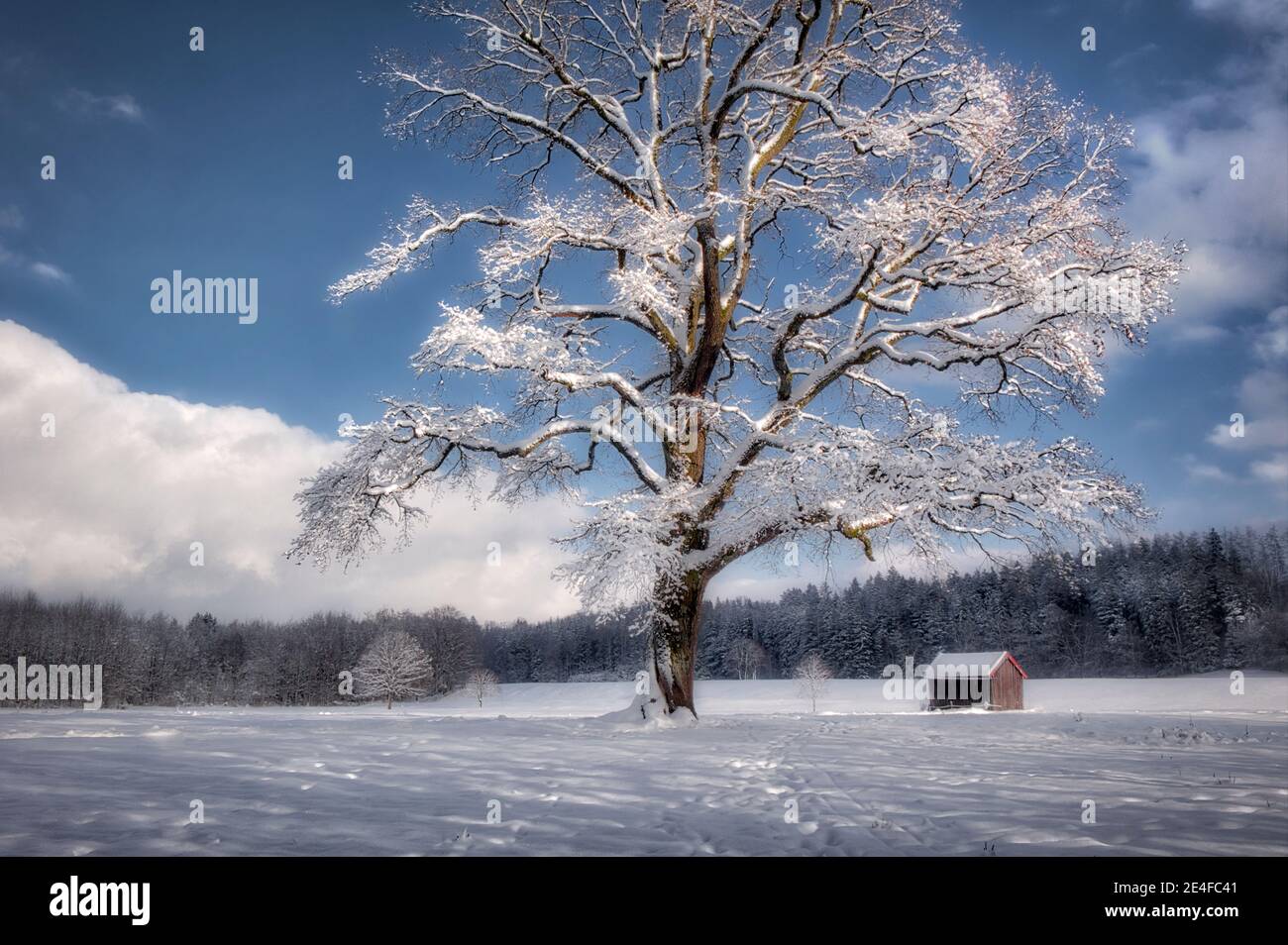 PHOTOGRAPHIC ART: Winter scene near Bad Toelz, Bavaria, Germany Stock Photo