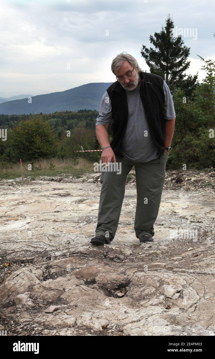 JeanMichel Mazin, geologist and paleontologist, standing in front of